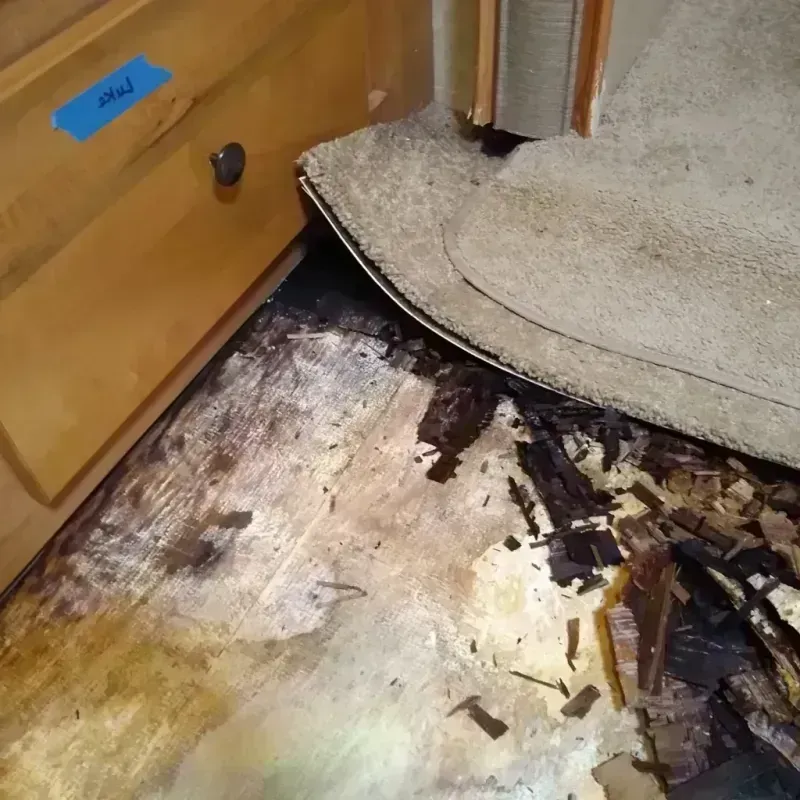 Best Wood Floor Water Damage Service in Juno Beach, FL